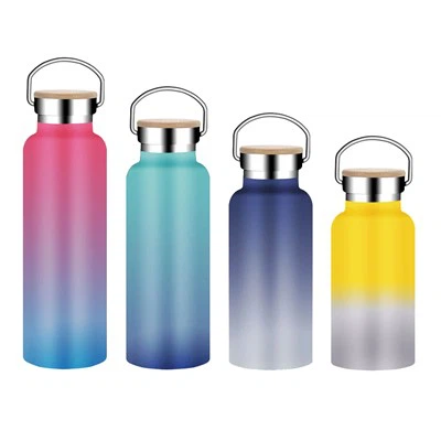 Double Wall Stainless Steel Bottle