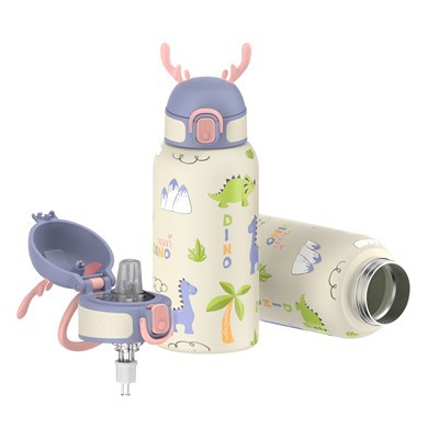 Stainless Steel Double Wall Water Bottle