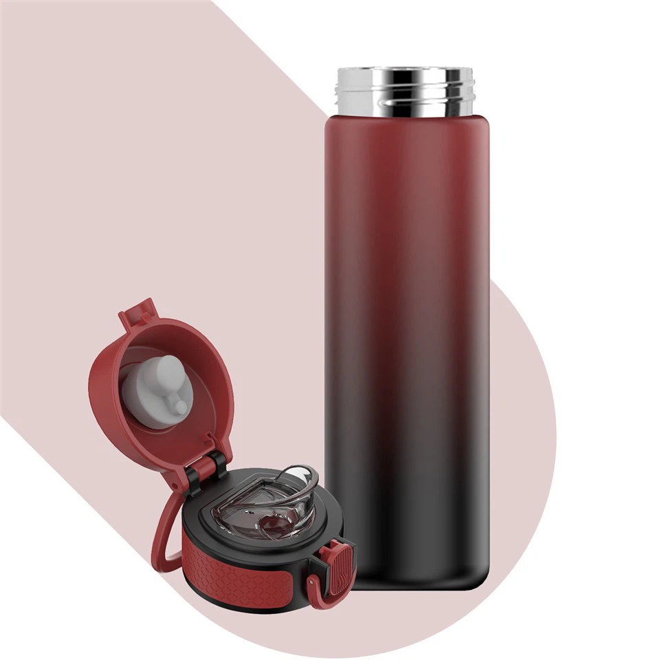 Stainless Steel Vacuum Insulated Bottle